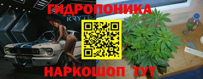 спиды Краснодар