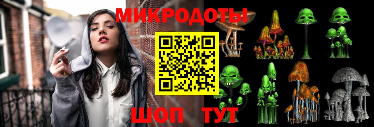 APVP Гудермес